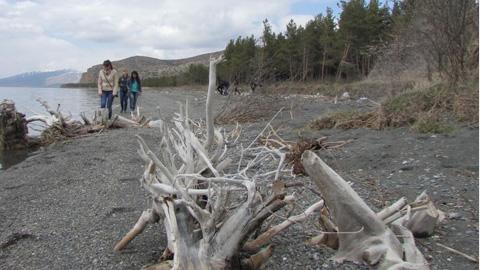 Նյութի նկարը